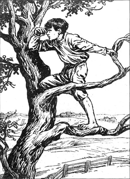 Corsi di scrittura creativa