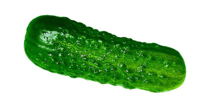 Un citrullo