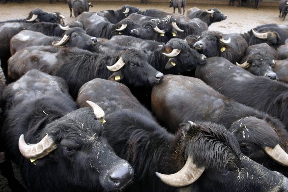 Scrittura creativa, corsi di scrittura creativa a milano, creative writing