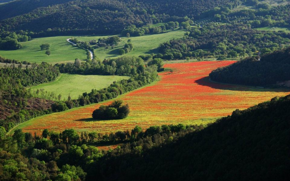 Fotografia di Pasquale Comegna