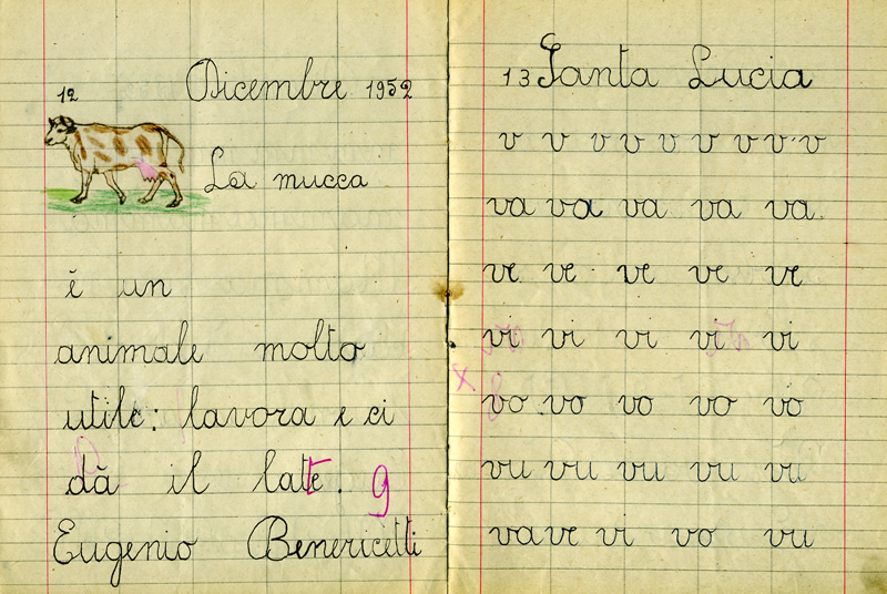 Bottega di narrazione, Scrittura creativa, Corsi di scrittura creativa