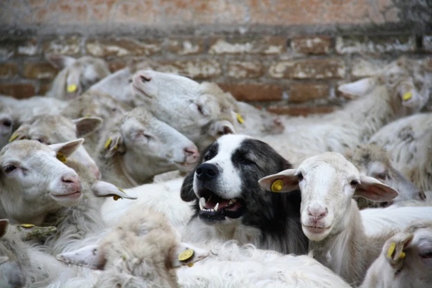 Raccontare il paesaggio, Letteratura del paesaggio, Scrittura creativa, Creative writing